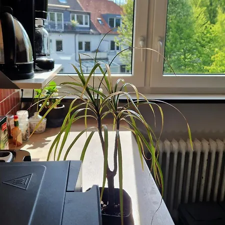 Apartment Zentrale Ferienwohnung direkt am Bergmannsheil WLAN